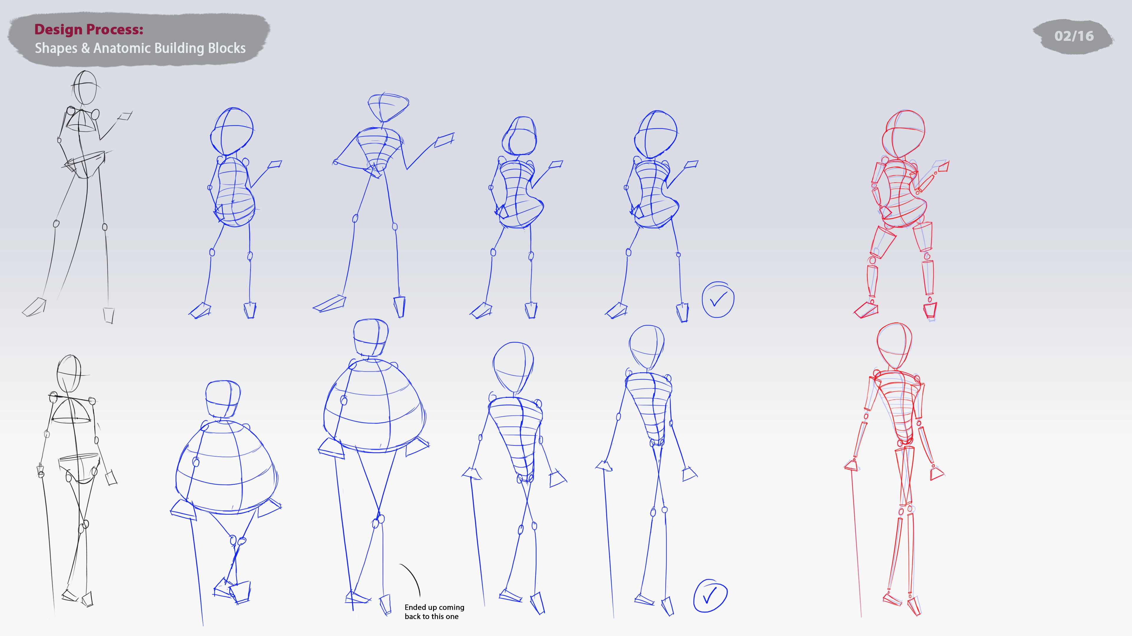 shapes & anatomic building blocks